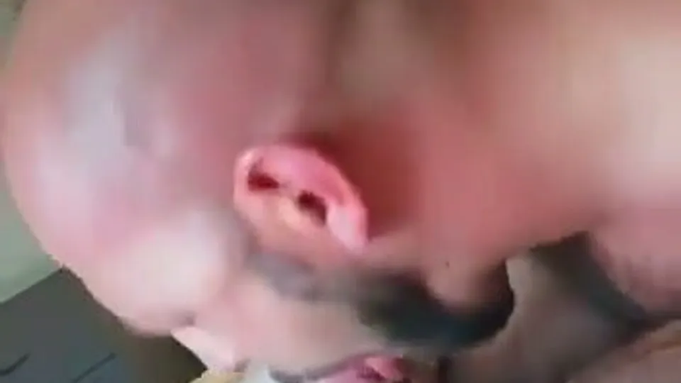 Serbian bears sucking and fucking - ThisVid.com