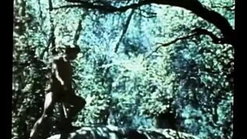 Seventies Classic Gay Porn Film Wow - Tubator