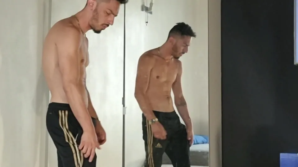 Compañeros gais satisfacen sus deseos mutuos