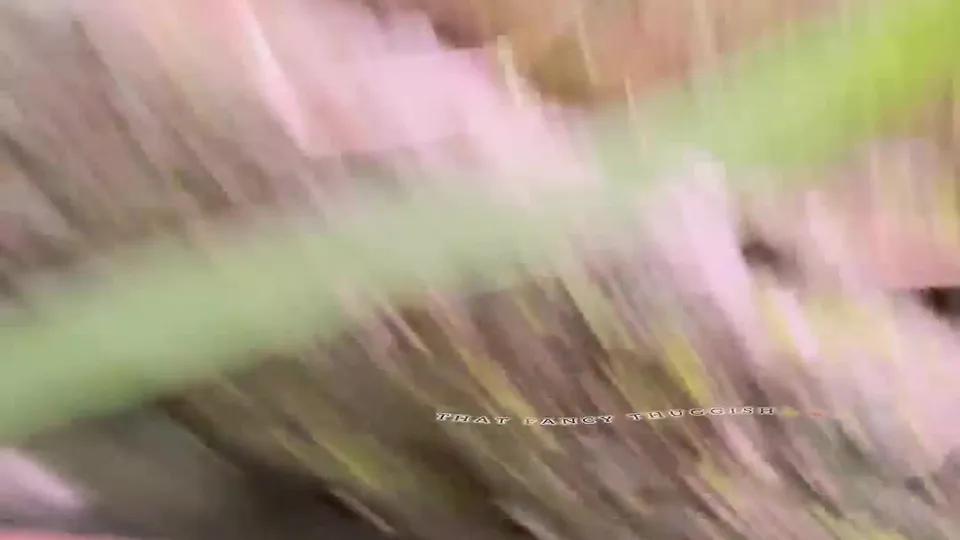 Sexual Addict Nude Leaks Gay Porn (SexualAddict) Ebony Fuck, Insatiable Massive Dick Cock Sucking, BBC Black Dick Destroys Hole (22).mp4