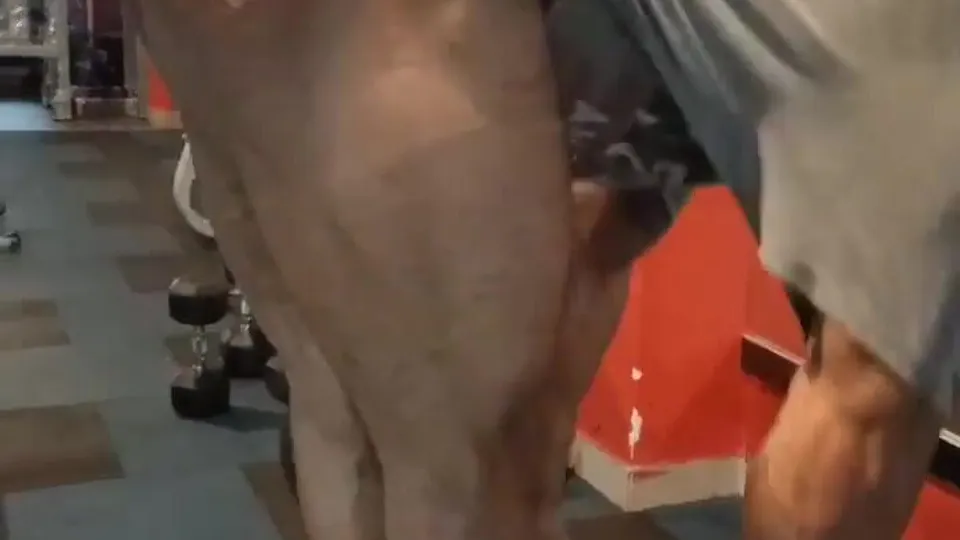 Sexy bodybuilder glutes workout 1 - ThisVid.com