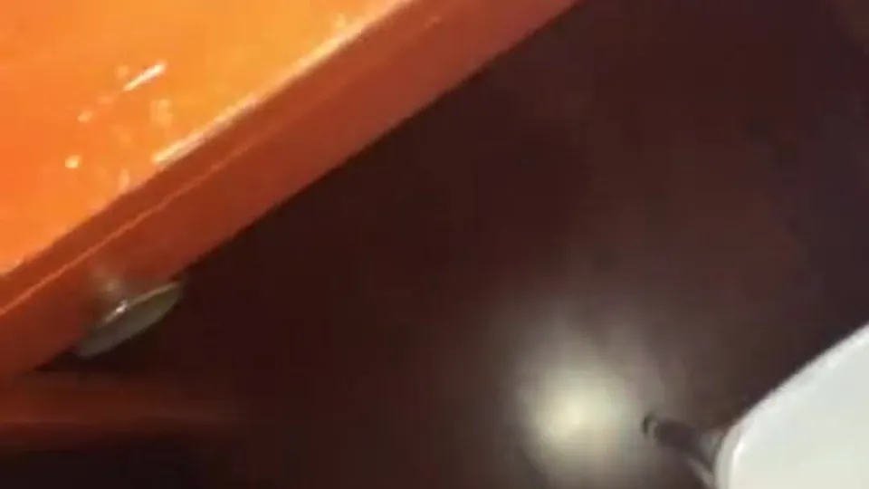 Sexy twink slaps his cock around