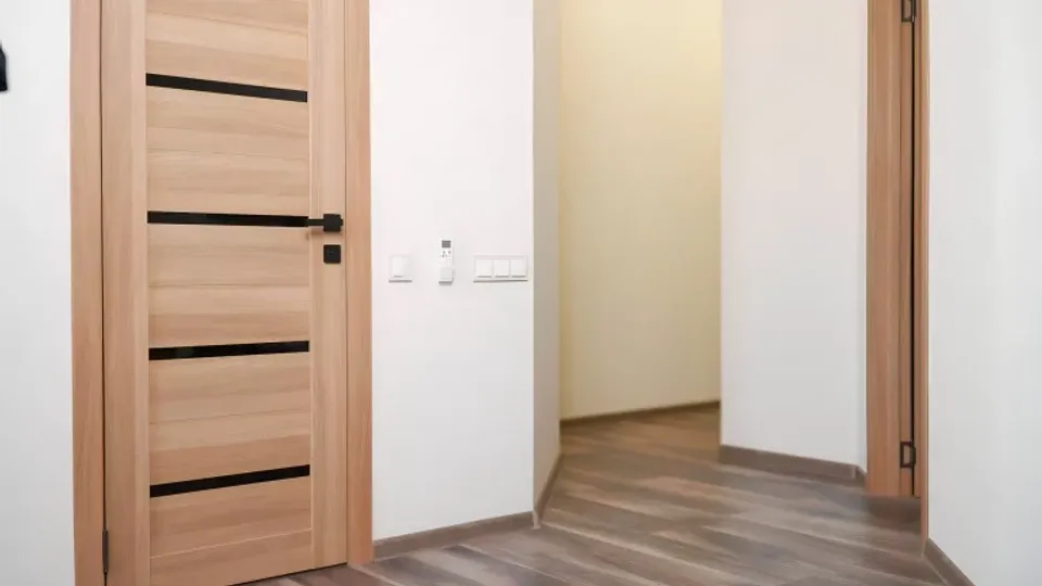 알렉사 블랙의 애널 욕망