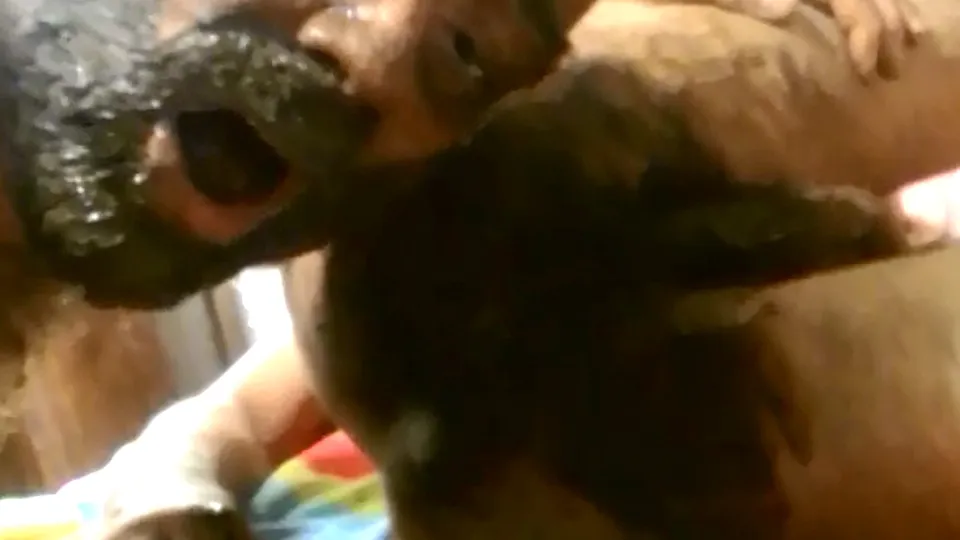 Shit & puke - ThisVid.com