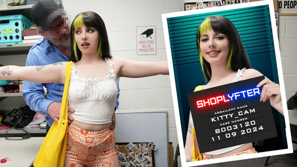 Shoplyfter - Mike ManciniKitty Cam - Case No. 8003120: The Artist In Distress 