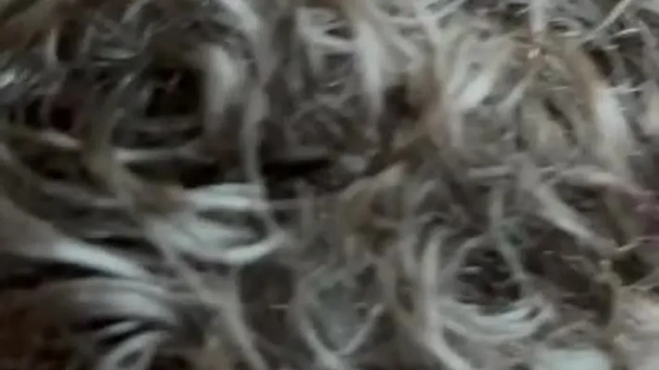 Short OnlyFans Clips (1396)