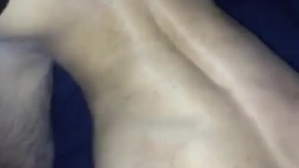 Short OnlyFans Clips (1497)