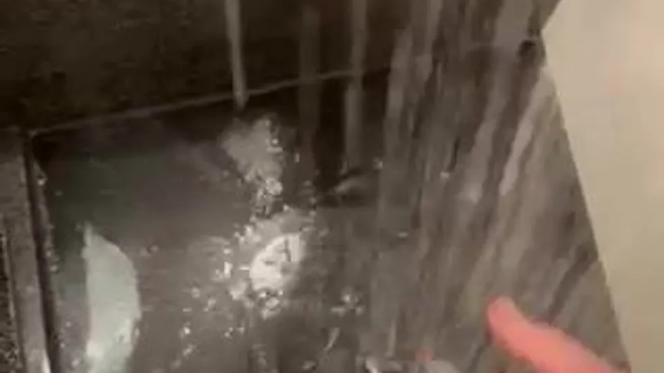 Shower fun again