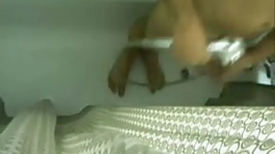 Showerboy