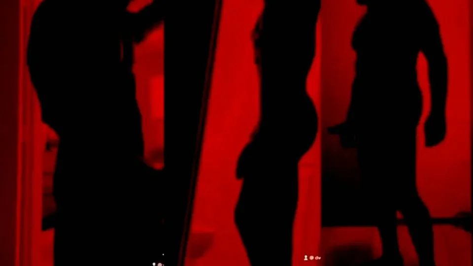 Silhouette Challenge| ... - ThisVid.com