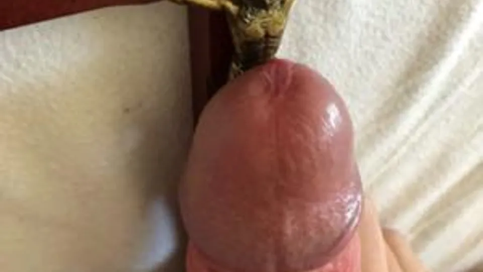 SIRE_M I WANT TO WORSHIP WITH YOU - ThisVid.com