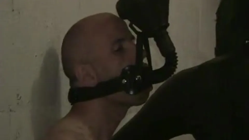 Skin Pigs: Piss Play - ThisVid.com