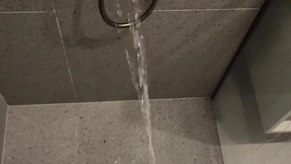 Slender Uncut Cock Shower Piss porn