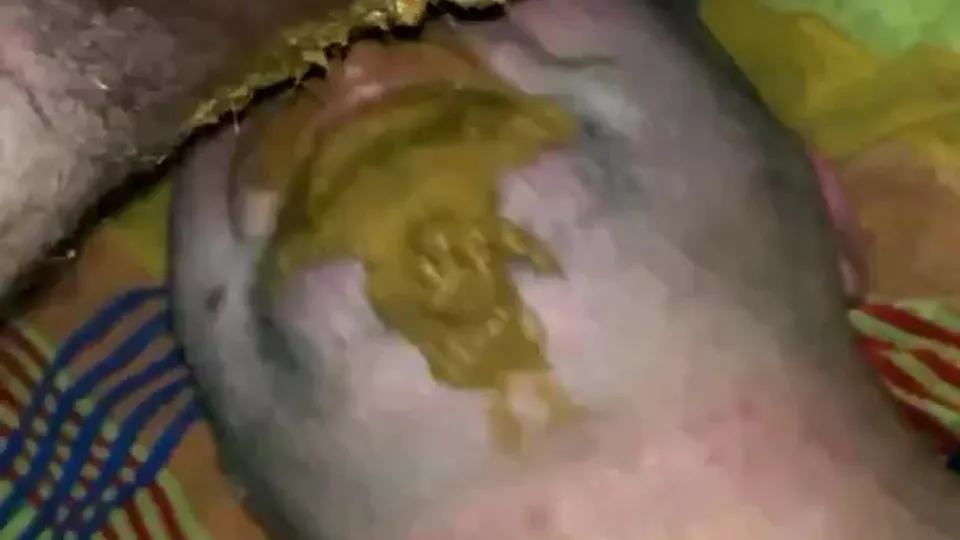 Sloppy feeding - ThisVid.com
