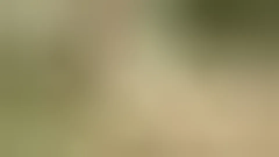 Snauwflake is fucked bareback outdoor by the lake