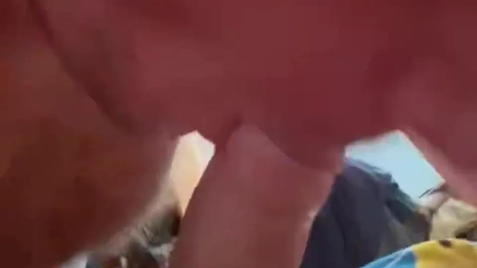 Spit roasted Cub - ThisVid.com