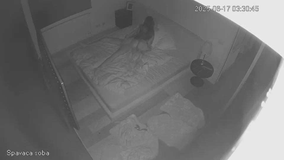 Spy - Hung Bosnian Guy having sex on ipcam - ThisVid.com
