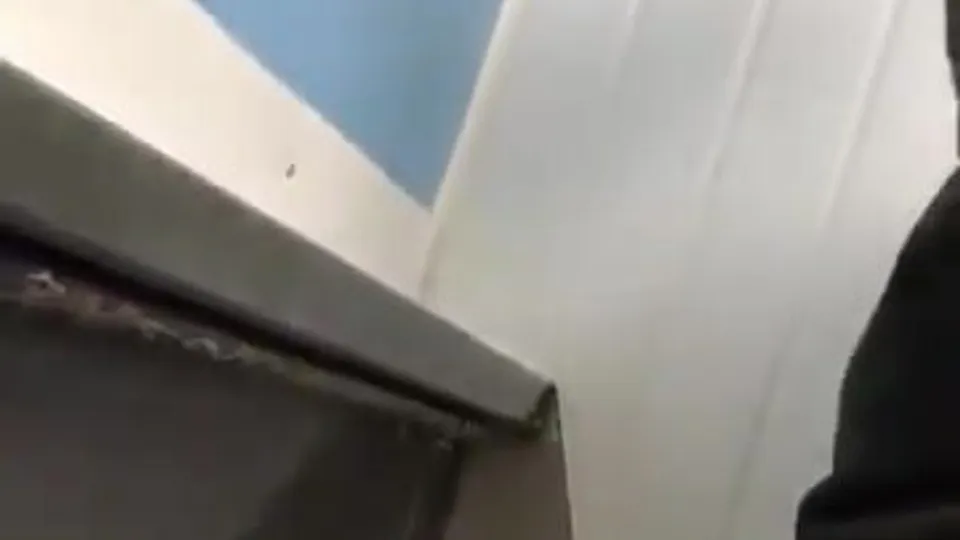 Spy on guy peeing with a boner - ThisVid.com