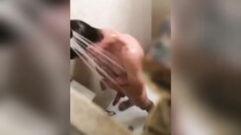 Spy teen boner in shower