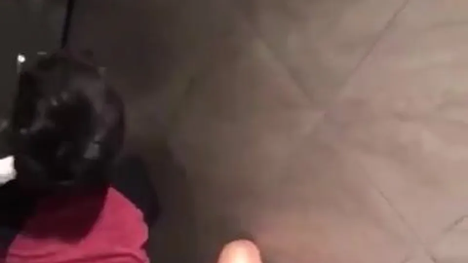 Spycam 2 Asian Twinks Fuck in Toilet Stall