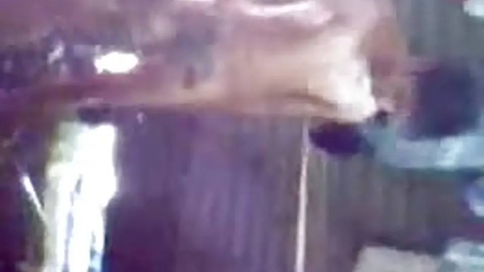 Spycam