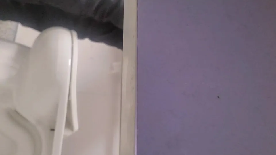 Spying co-worker 53 - ThisVid.com