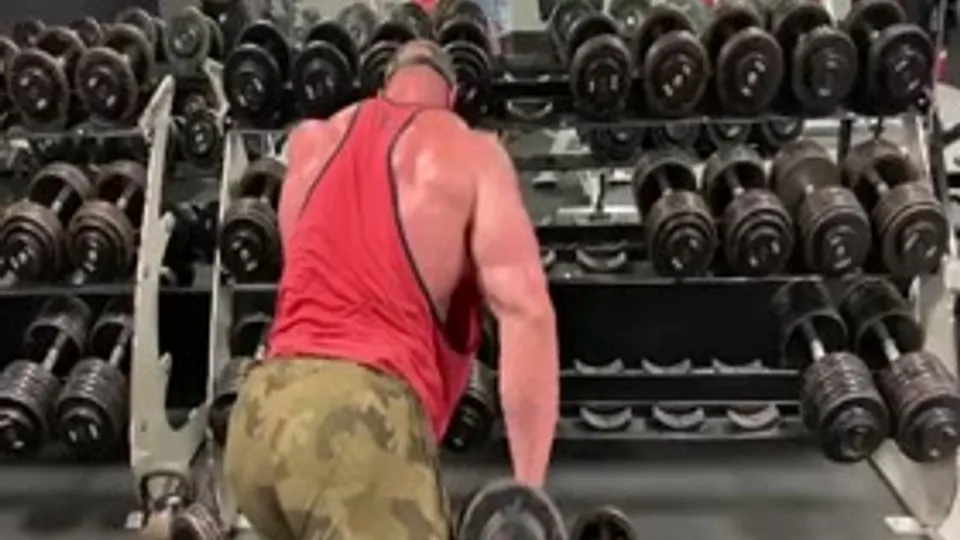 Stanimal de Longeaux