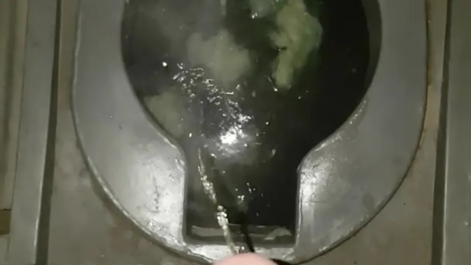 Steaming hot piss in a porta-potty - ThisVid.com