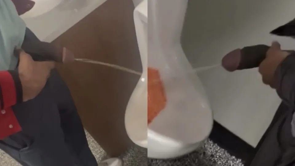 Str8 bulls record each other *PISSING* - ThisVid.com