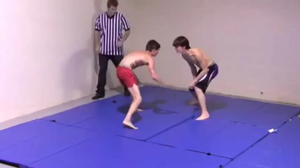 STRIP WRESTLING SERIES