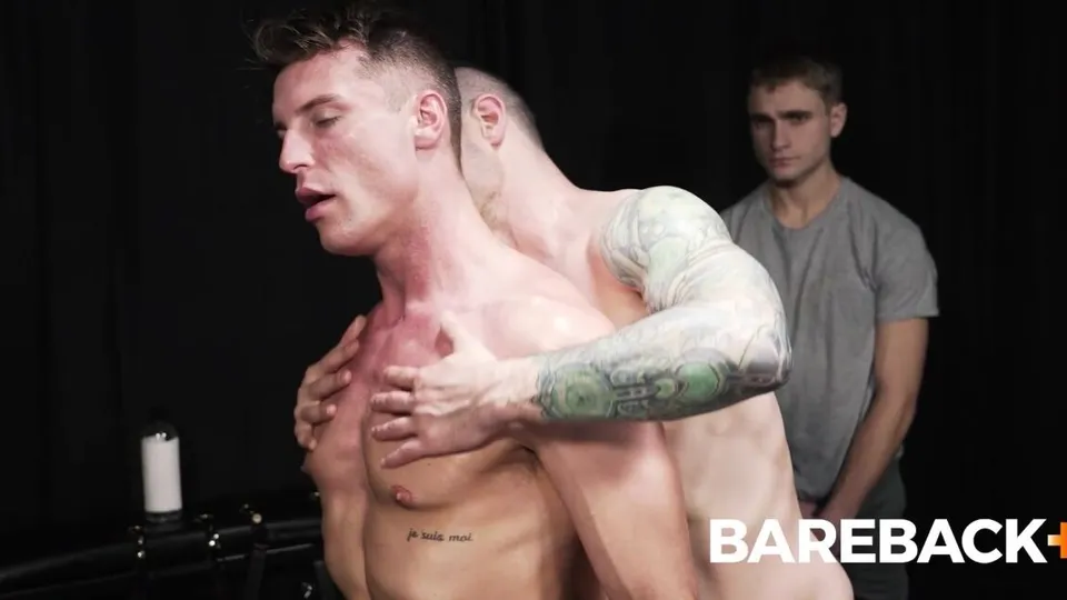 Stud Loads Vol. 5 Chapter 1 – Stable Master