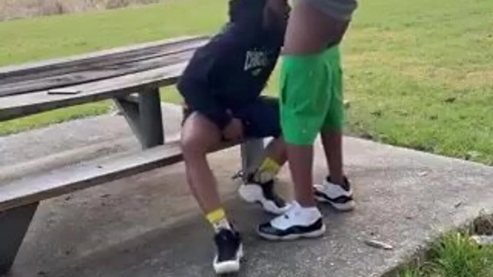 Sucking dick in the park - ThisVid.com