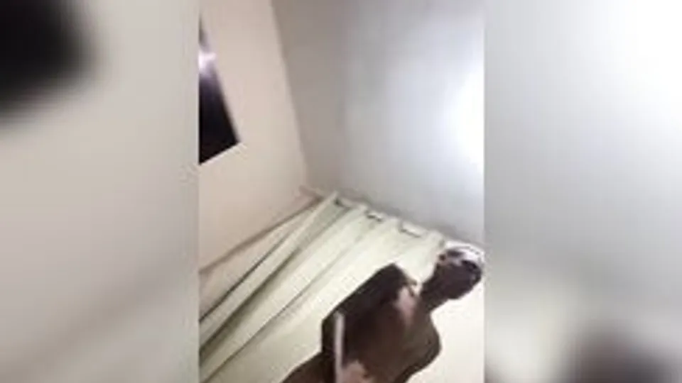 تونكي هاوس Masturbation