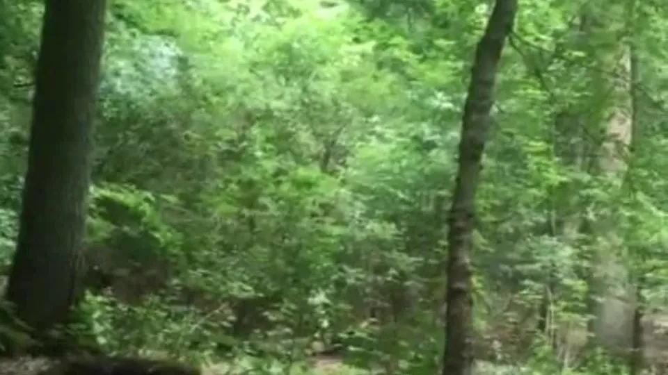 SW - Teen sprayed in public