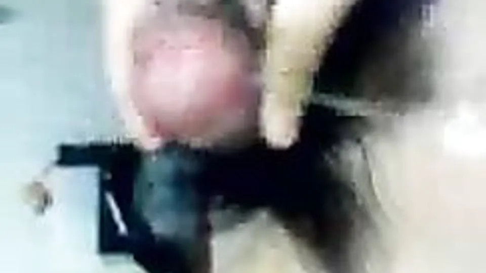takumi ono cam