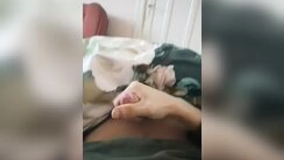 Teen Solo masturbation on bed
