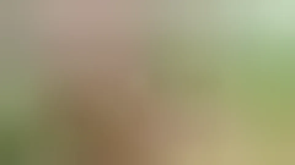 Teil 2
