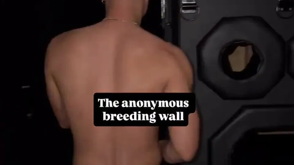 The anonymous breeding wall