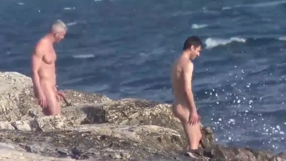 Beach Boys Hard On