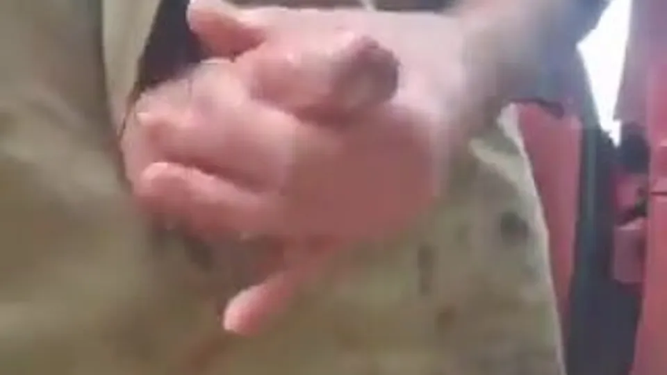The Brotherhood of Penis CLXXXVII - ThisVid.com