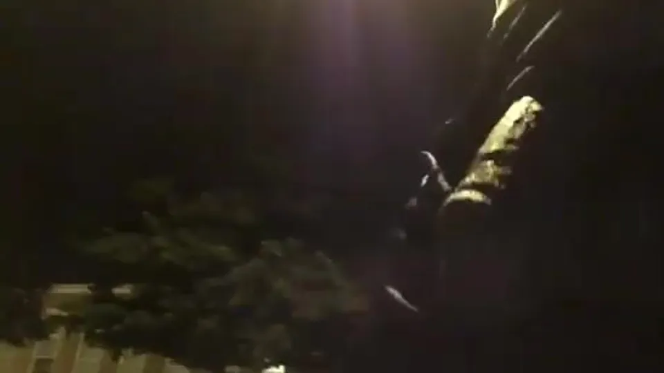 The Brotherhood of Penis CXCII - ThisVid.com
