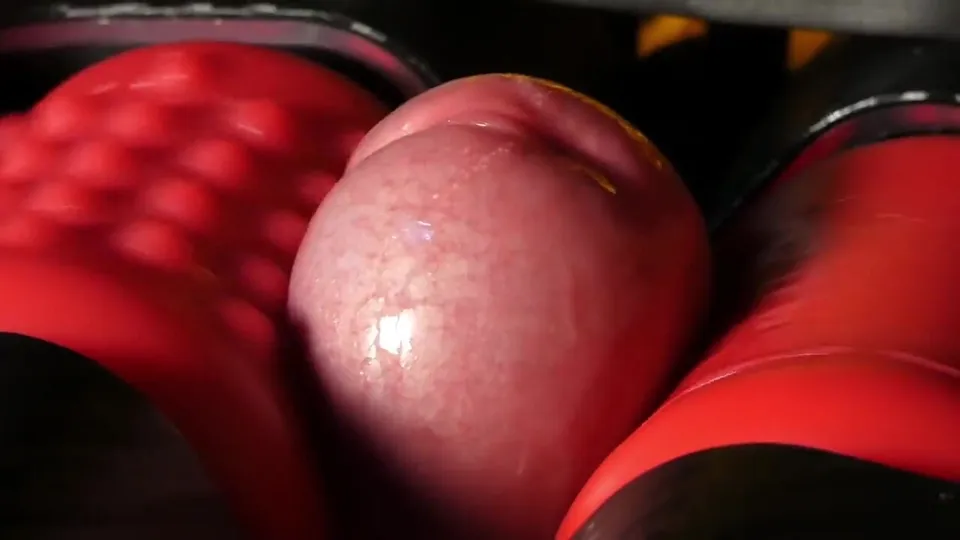 The Brotherhood of Penis - video 35 - ThisVid.com