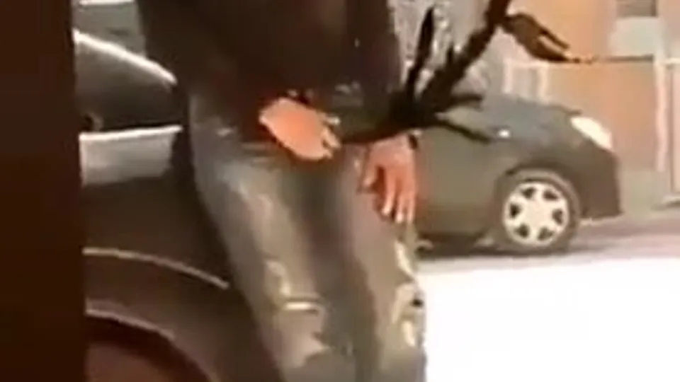 The Brotherhood of Penis XVI - ThisVid.com