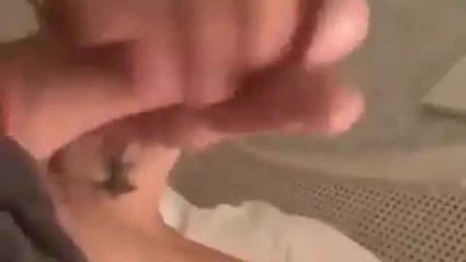 The Brotherhood of Penis XXX - ThisVid.com