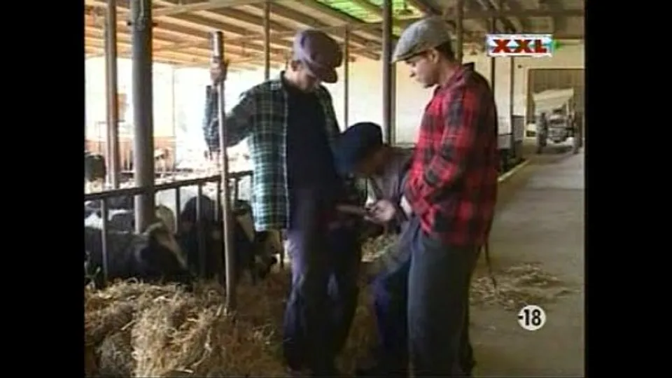 Rural Encounter: The Country Boys