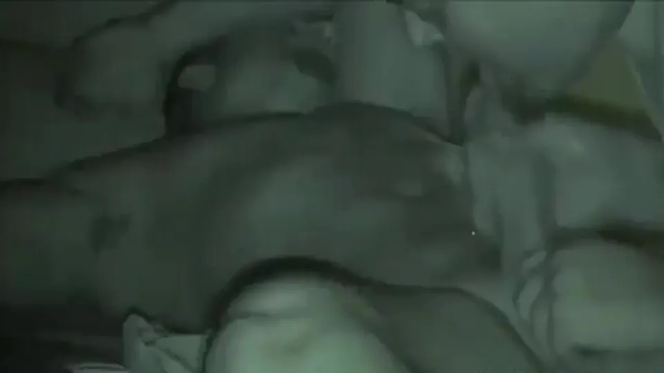 The Night Stalker - ThisVid.com