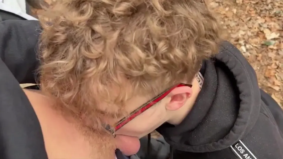 Gay Nerds' Outdoor Encounter