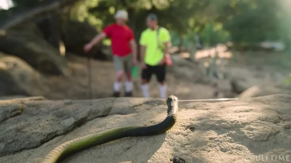The Snake Bite – Roman Todd & Michael Boston.mp4