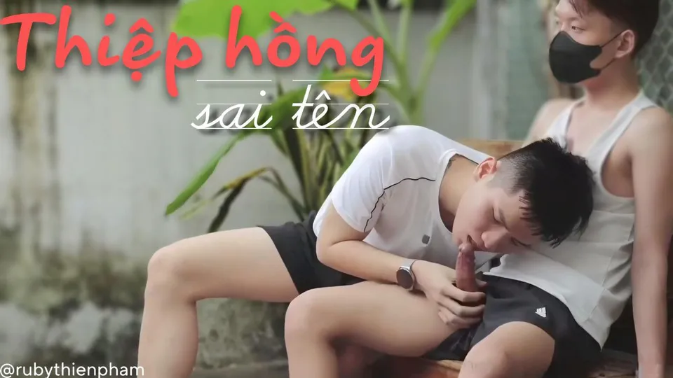 Thiệp hồng sai tên - rubythienpham - Traingon
