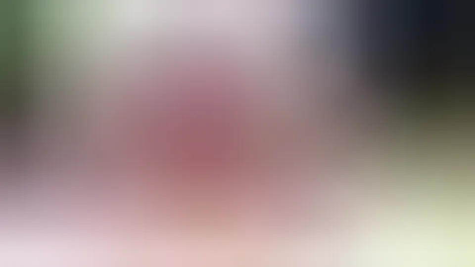 This Ass Was Completely Destroyed - Special